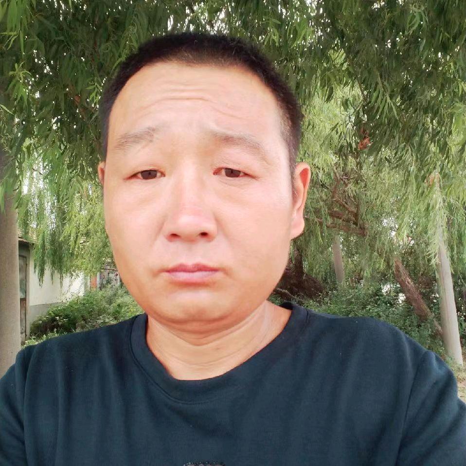 心想事成马到成功