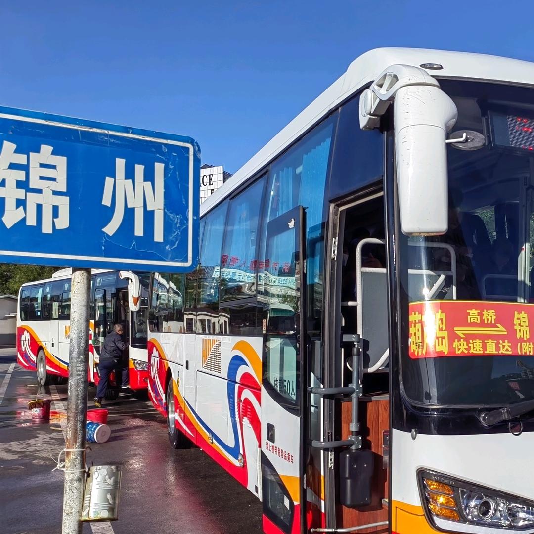 虎跃直通车