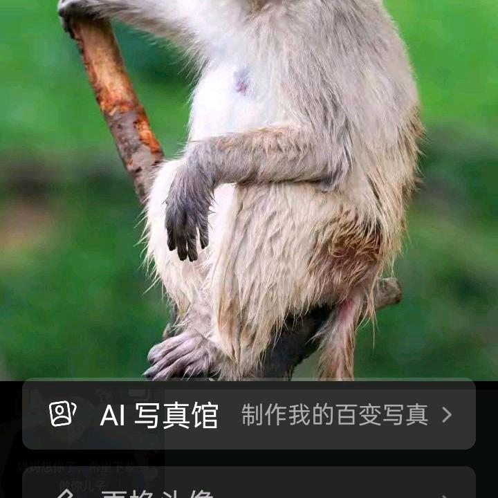 猴🐵哥