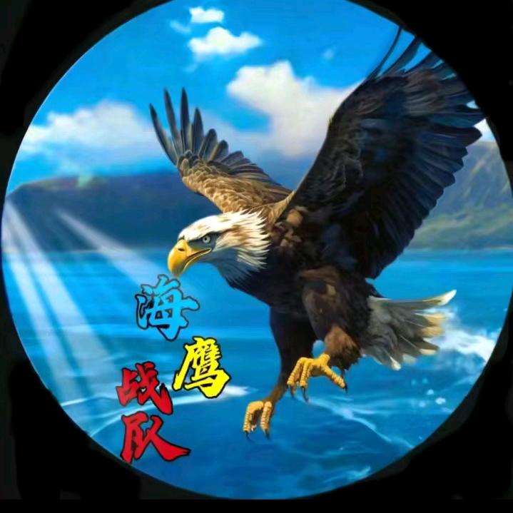 🦅海鹰战队🦅🔔欢喜🔔
