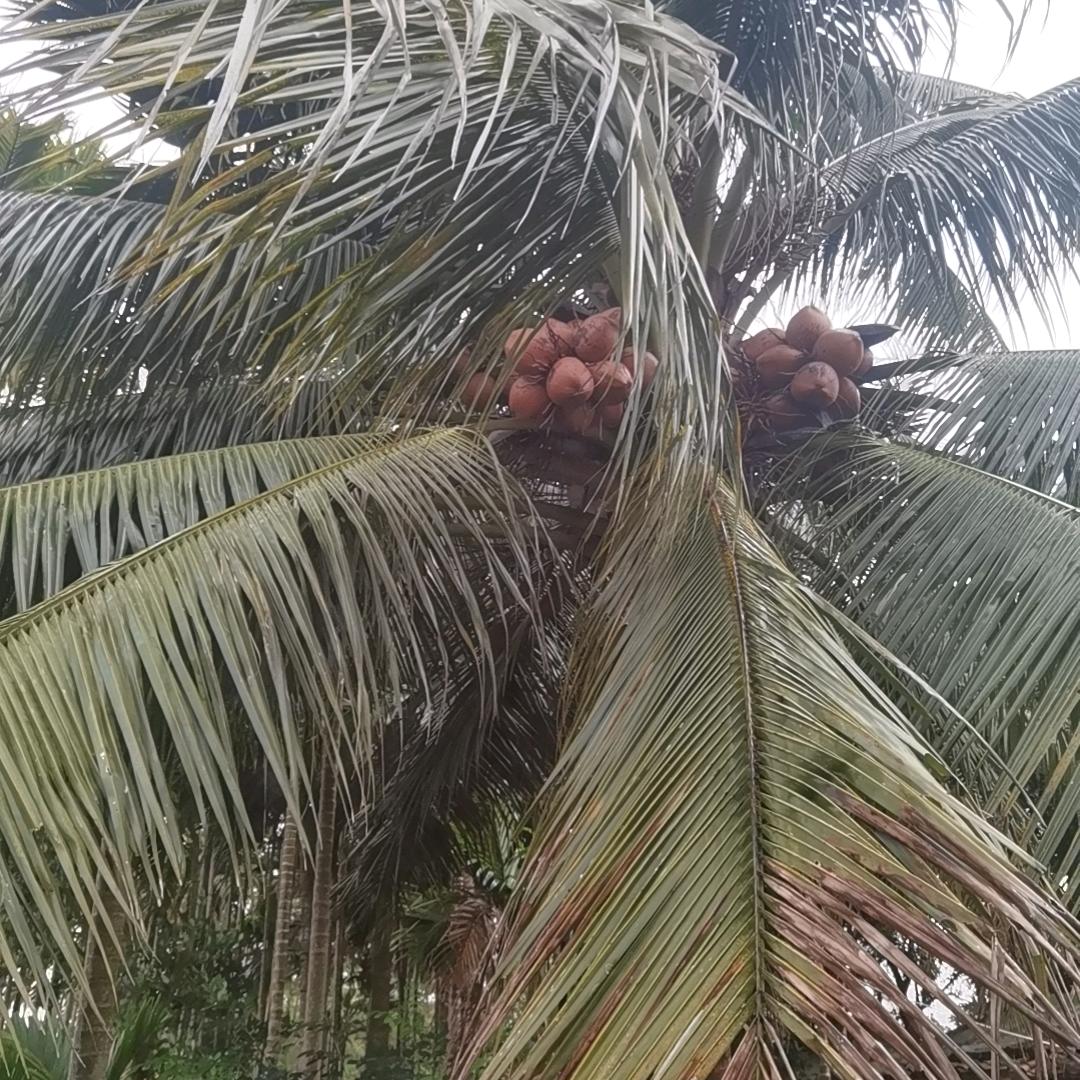 努力到无能为力。