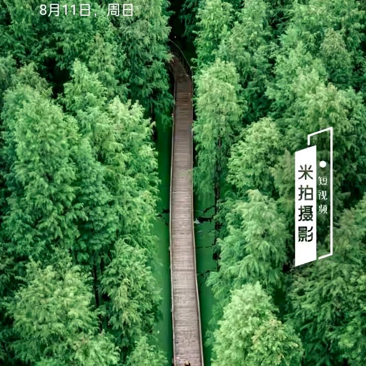 老农