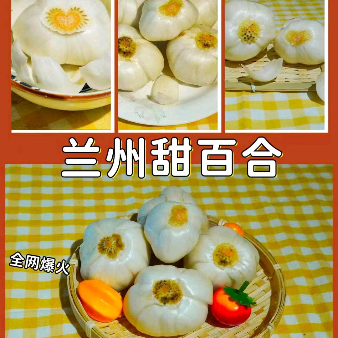 榆中欣源百合特产店