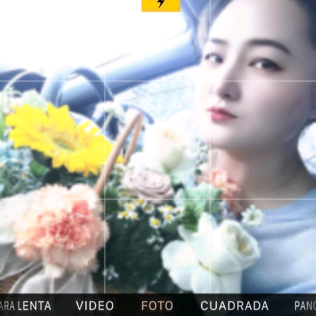 莎小姐