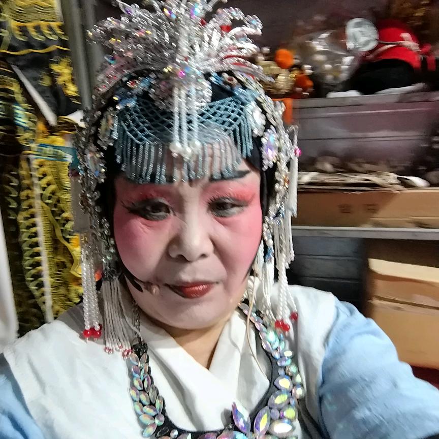 金叶柳霖