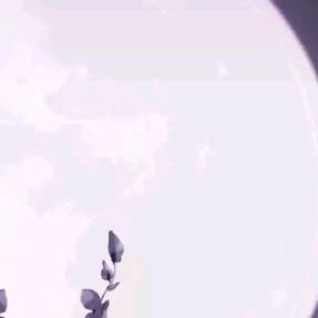 空白i
