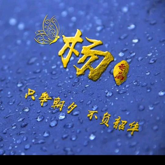 木易楊