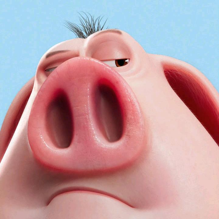 🐱喵喵喵🐱(年底见＾3＾）