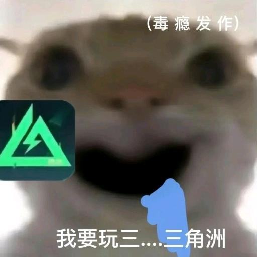 周粥（三角洲行动）