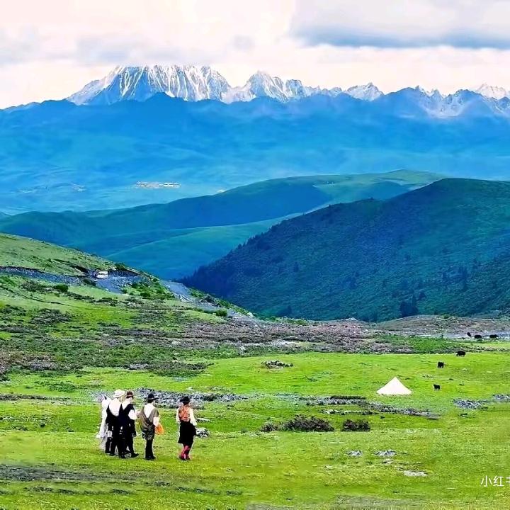 你是月亮的亮.🌙