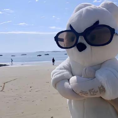 来财来财（关必回）