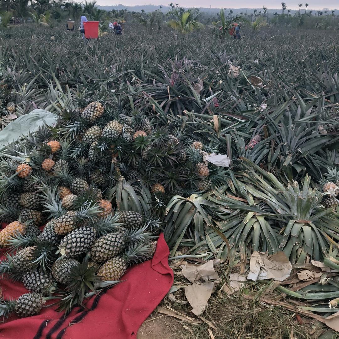 星空梦幻🎂🎂🎂