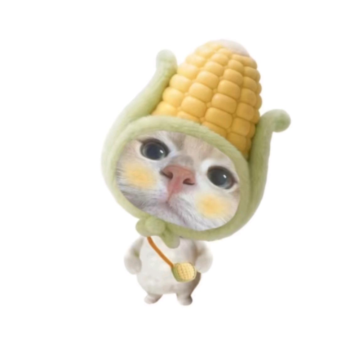 oi小雨.