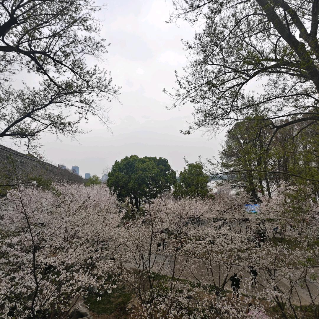 浮屠