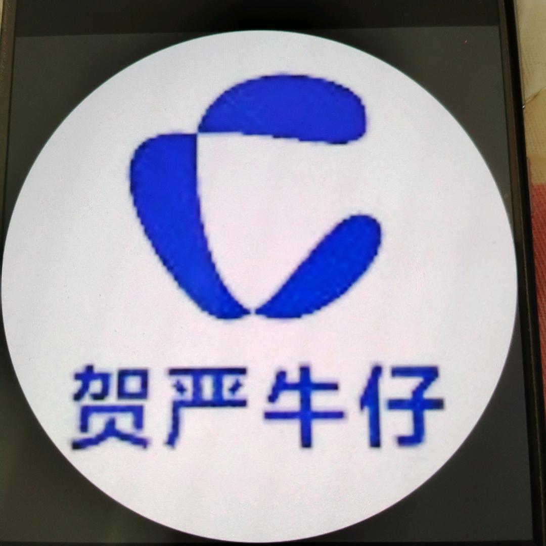 贺严牛仔