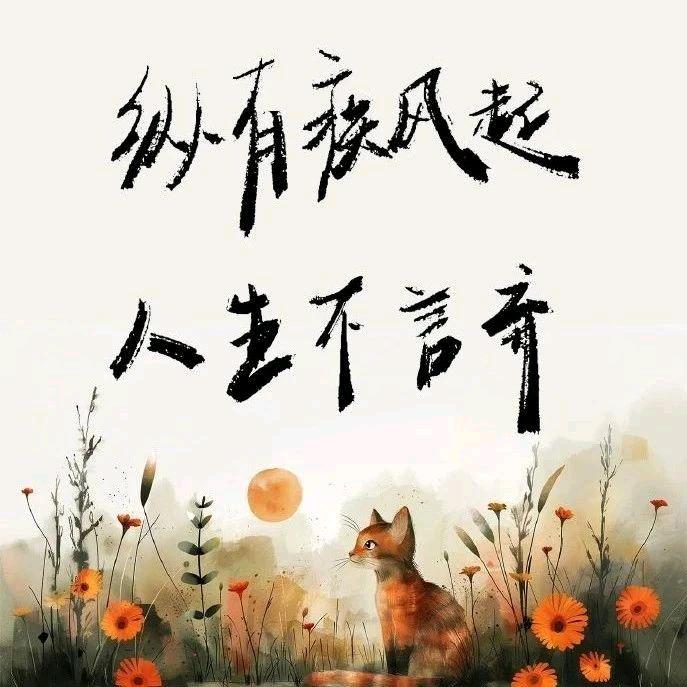 乐乐💕