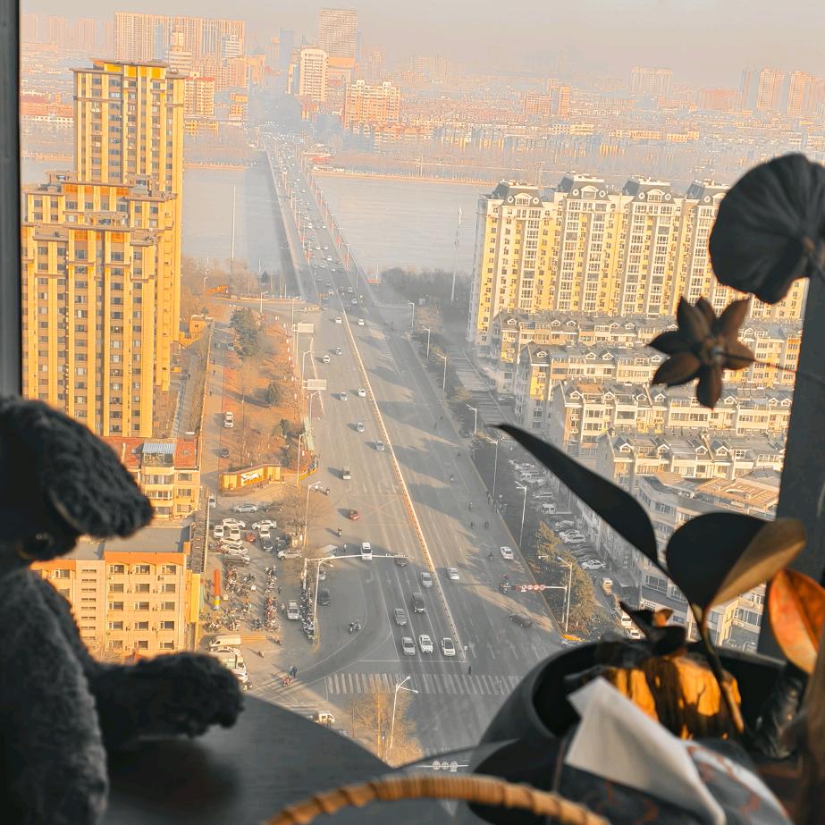 🌈小满为好，半夏为宜