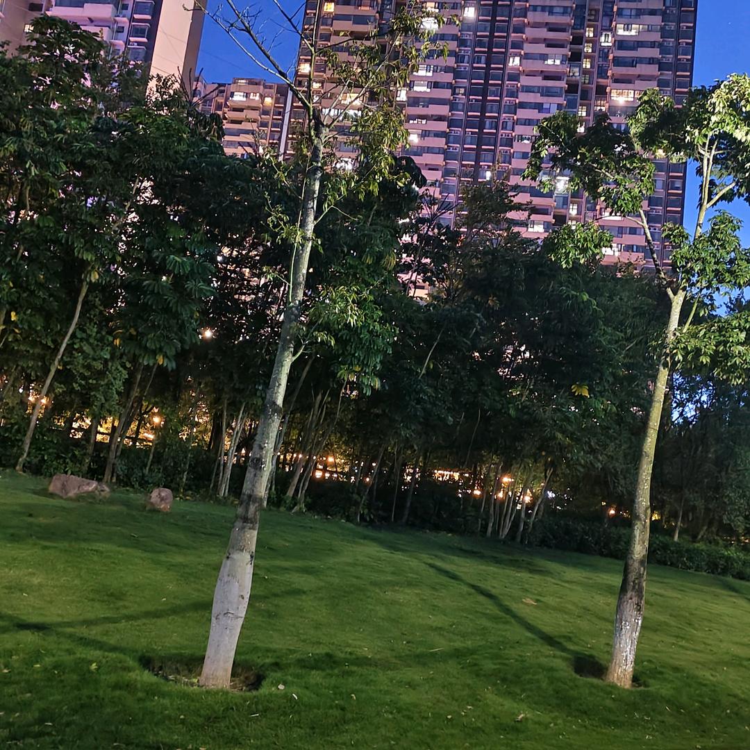 失败多了，总会成功的