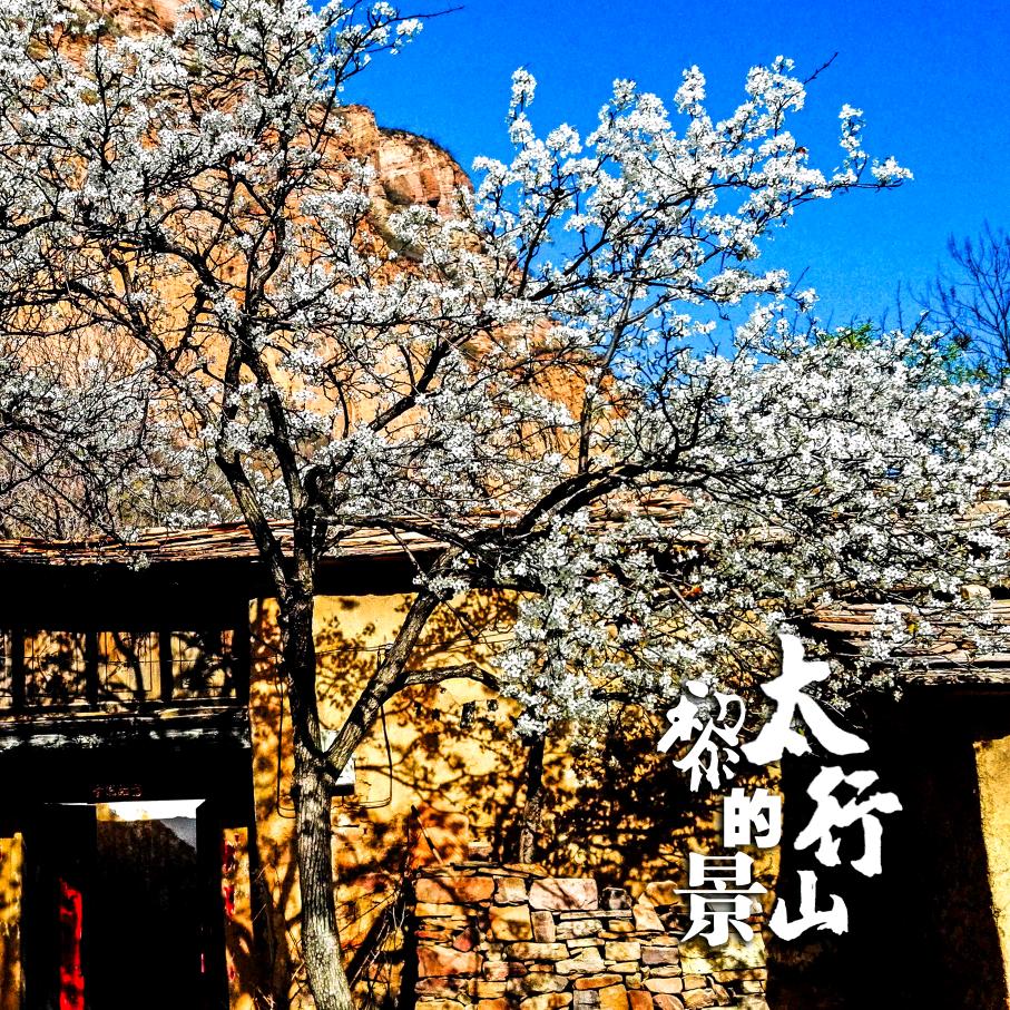 太行红·看见
