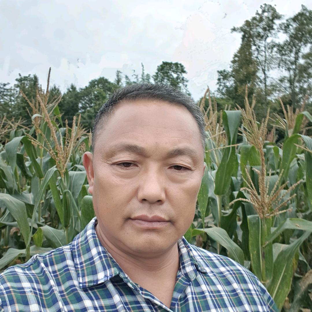 一言难尽