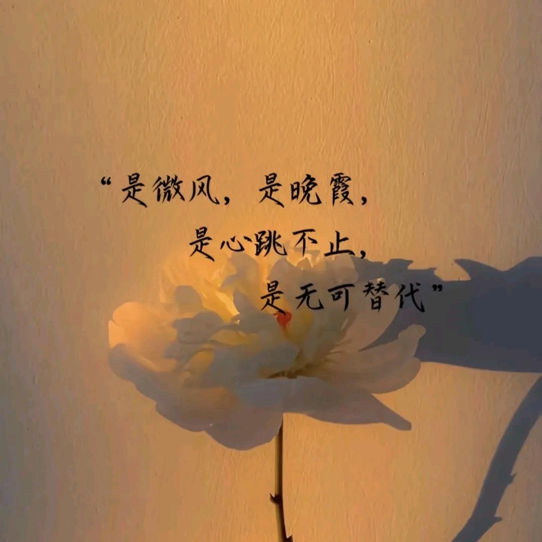 善良但手里有砖