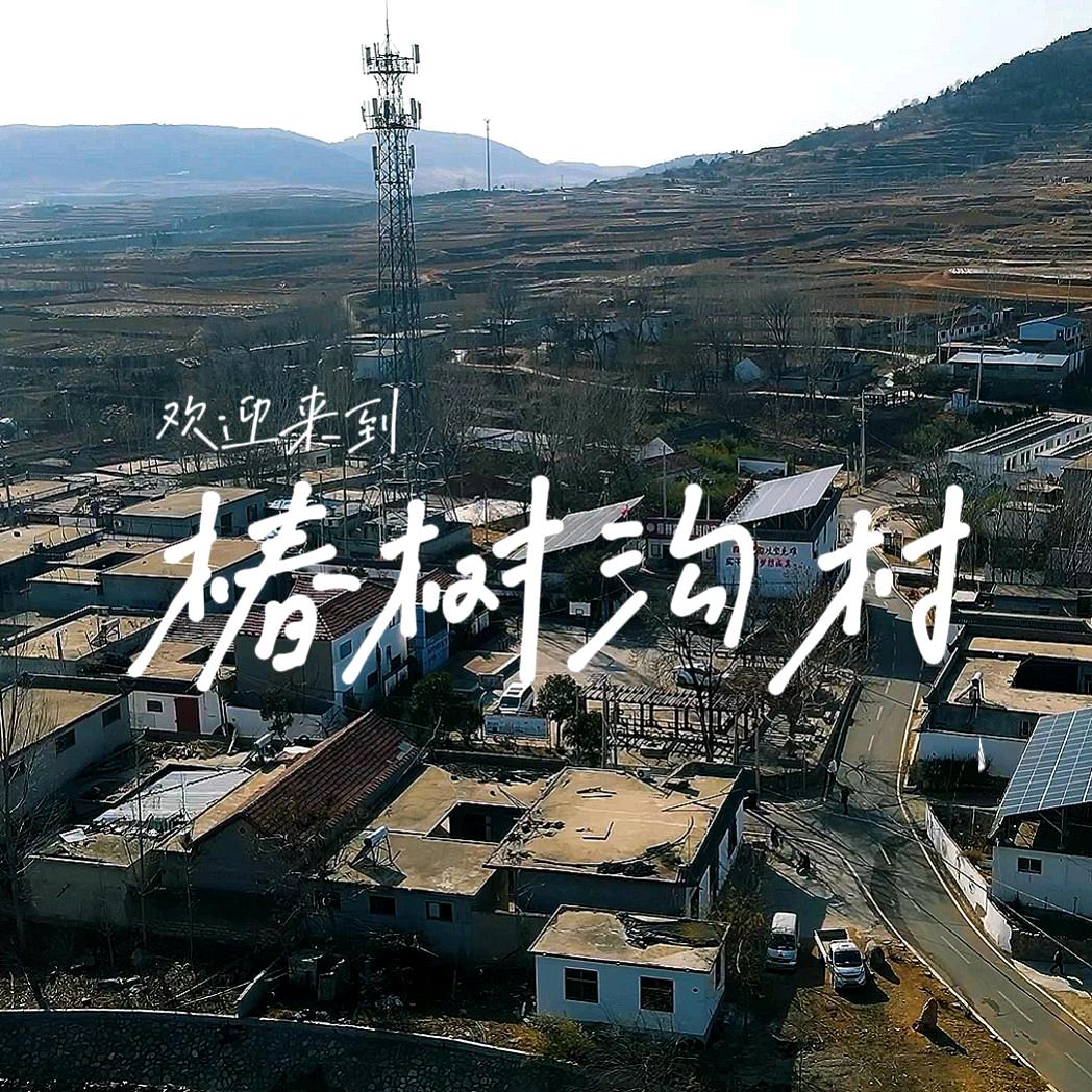 椿树沟村大掌柜