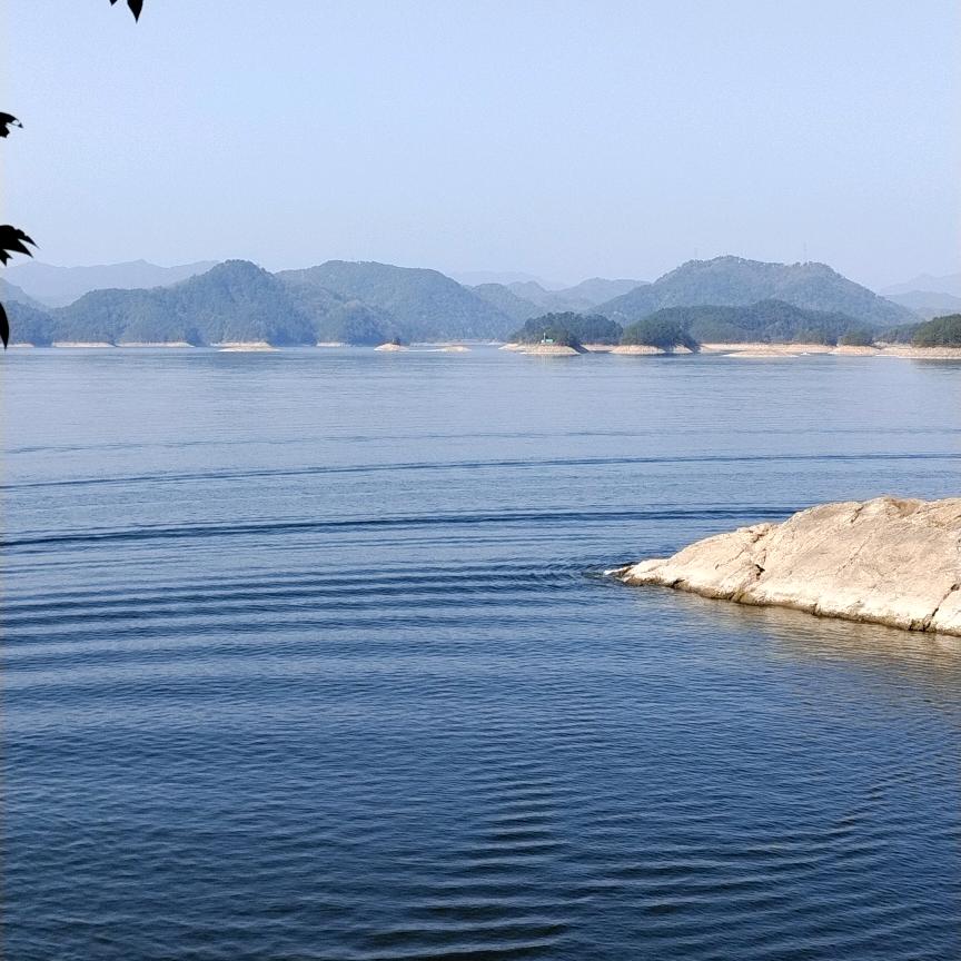 黎兮&