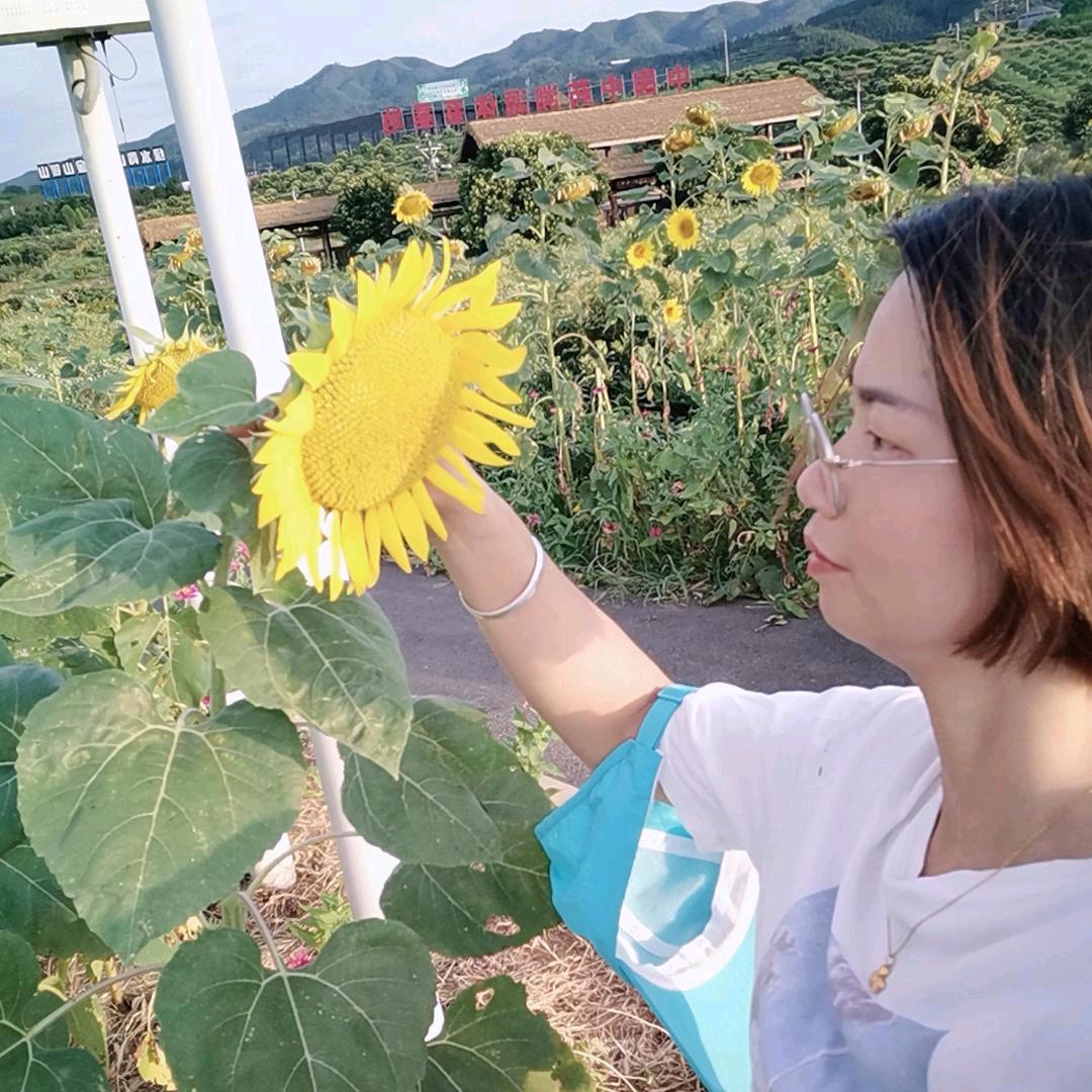 四通建材沈芬芬