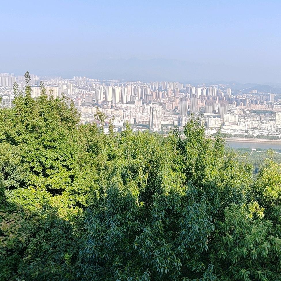 你若安好🏅便是晴天