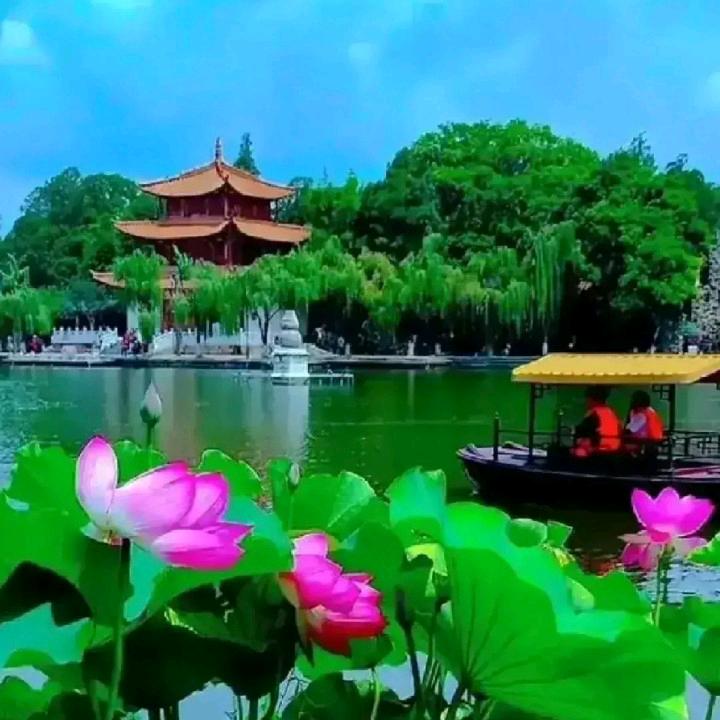 张志明