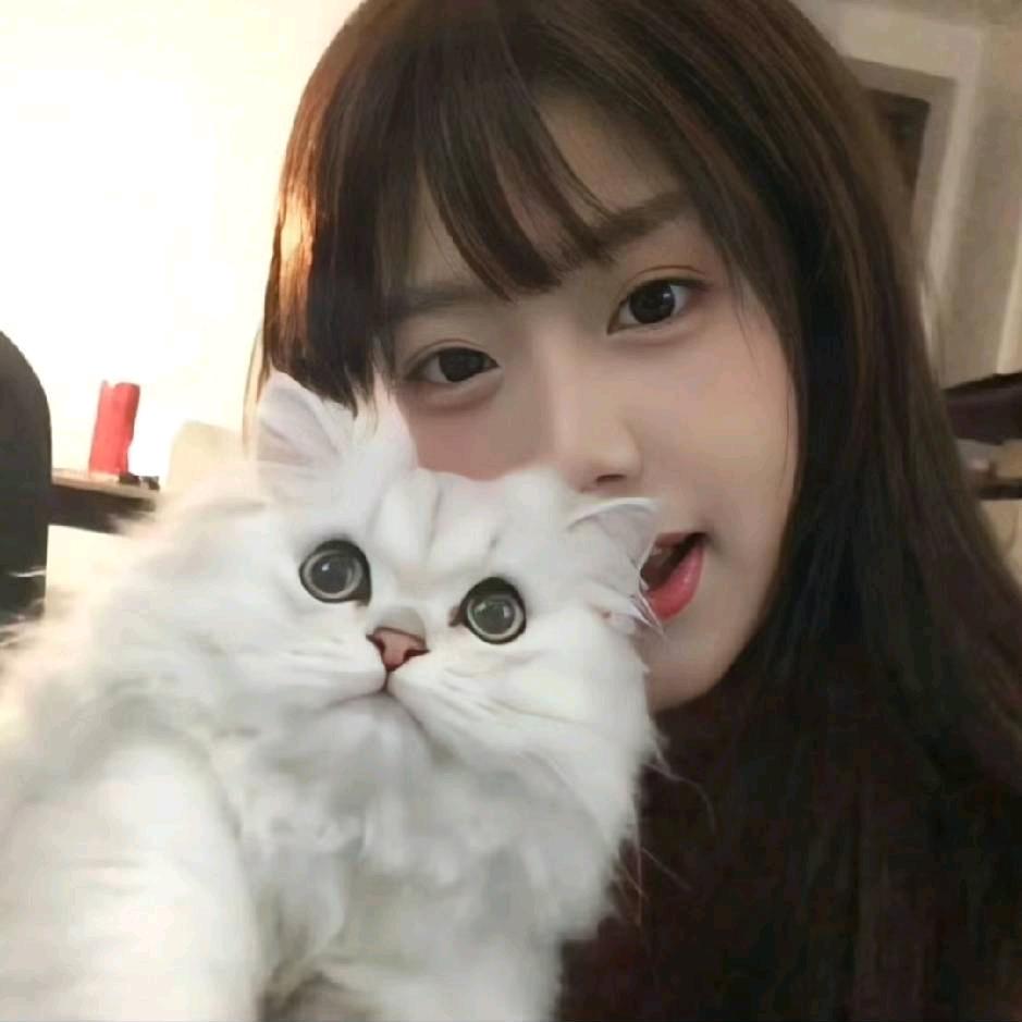 Xainxiu