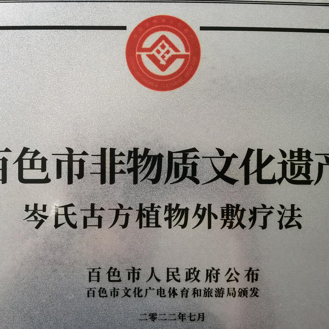 百色市非遗岑氏古方植物外敷传承基地