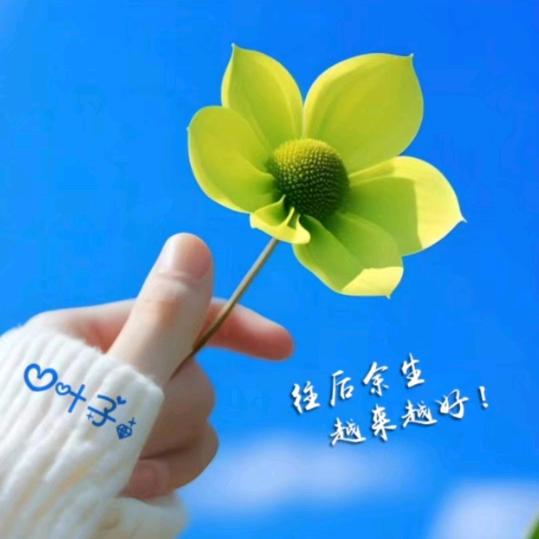随缘🌹