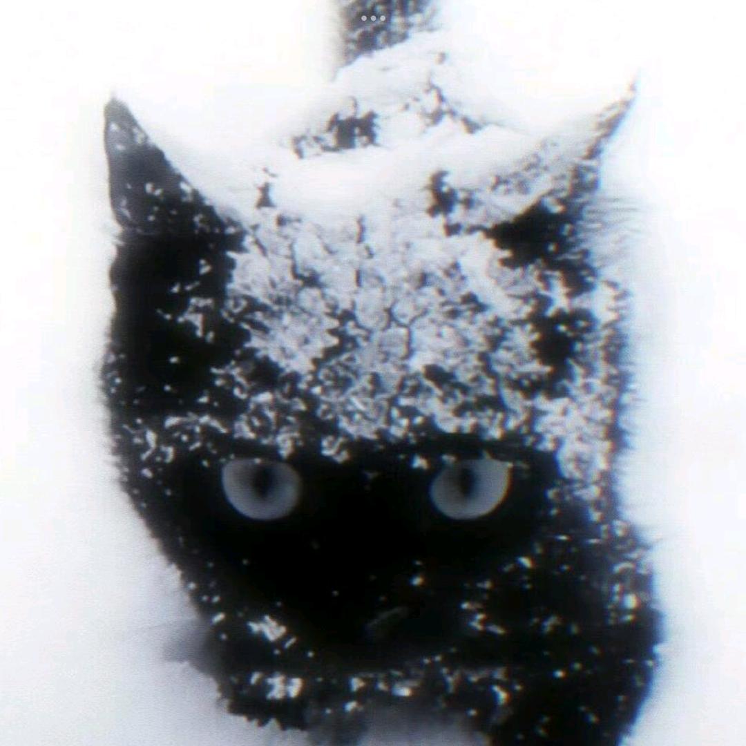 asa
