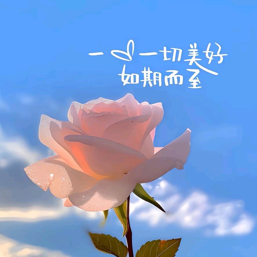 丝丝心动