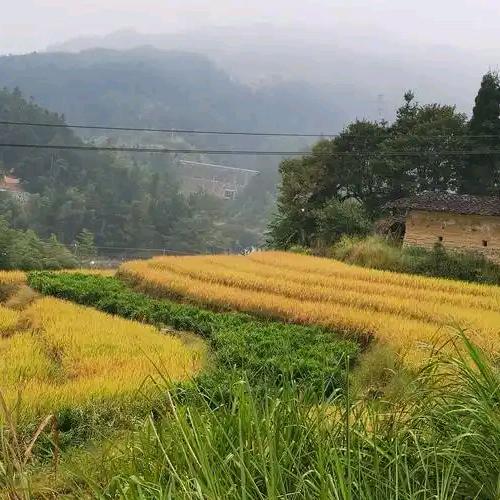 从新开始