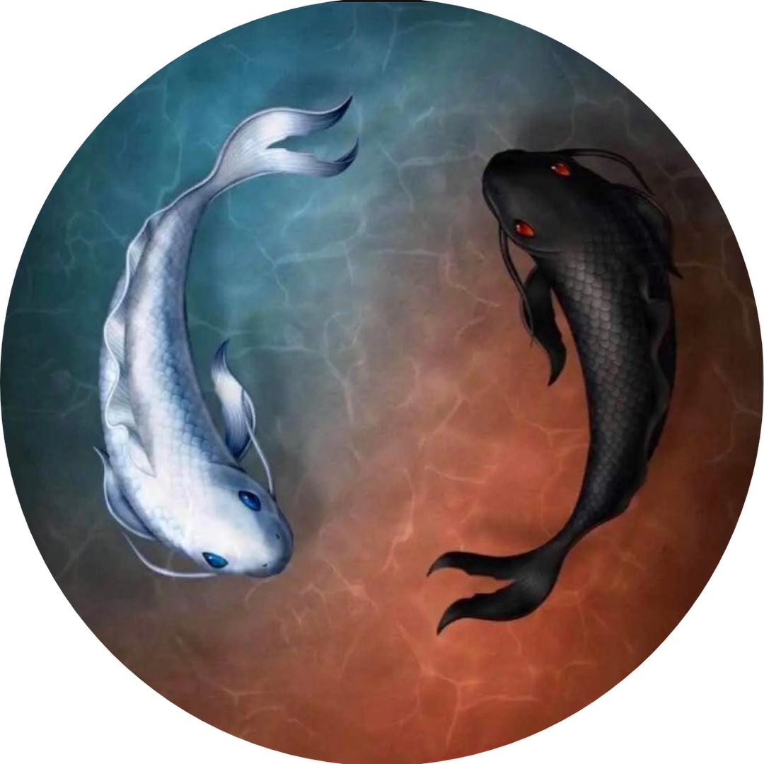 🎣 唐宋元明清