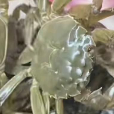 万映