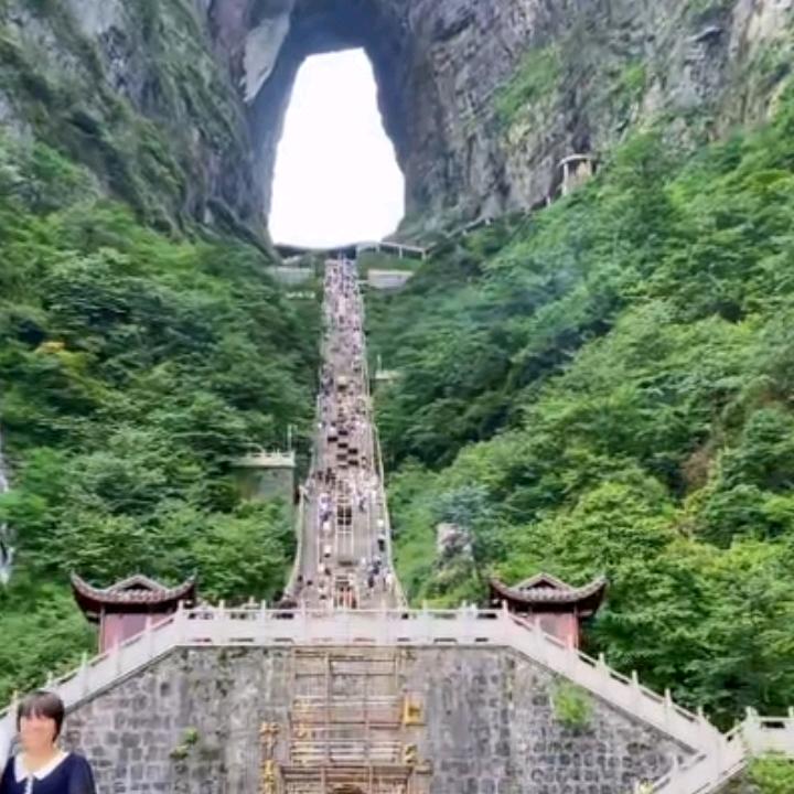 休养（有需要中草药配方的请关注我哟）