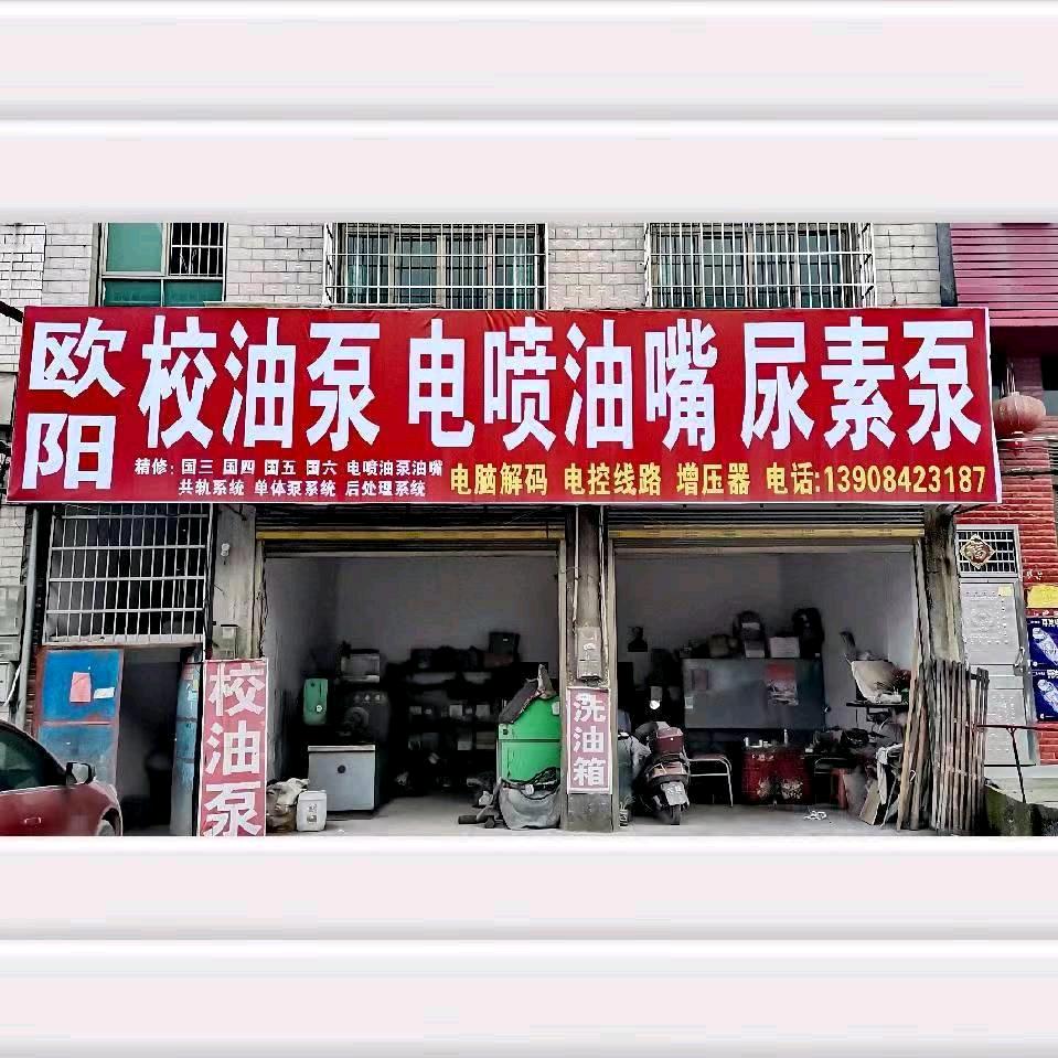 隆回县欧阳校油泵电喷油嘴尿素泵电控线路