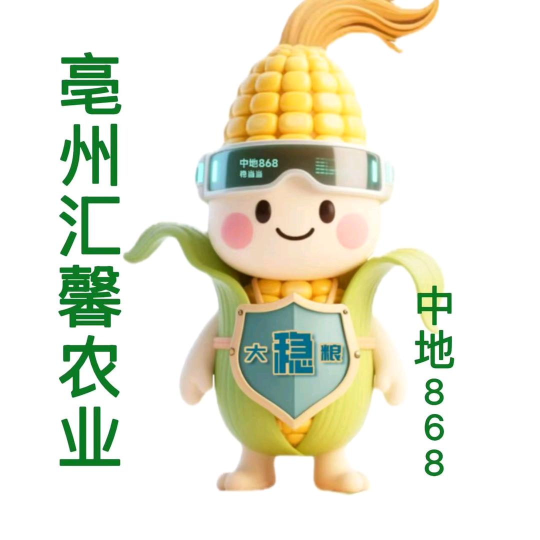 大稳粮中地868-汇馨农业-王倩