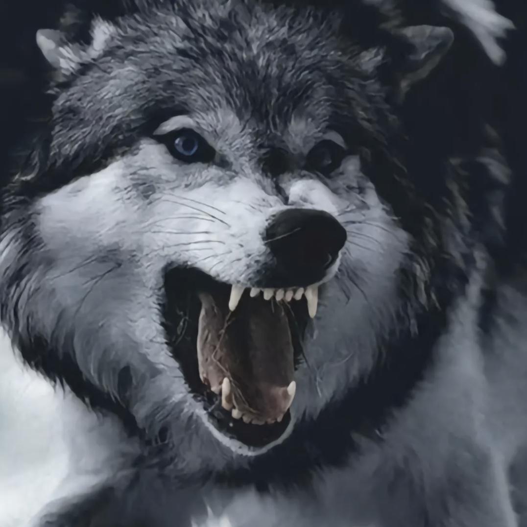 🐺狼牙俐齿