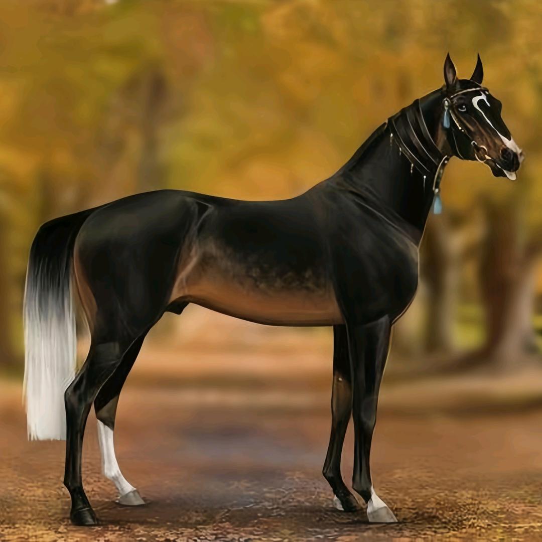 冠雄～搏击散打（王冠雄）