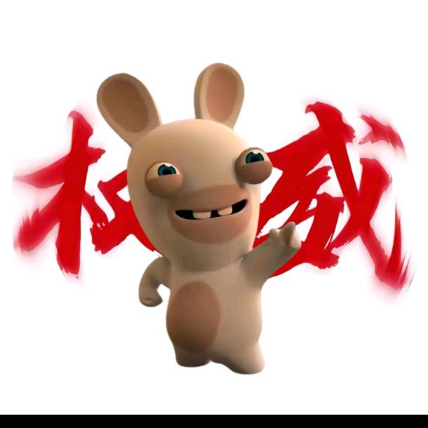 🧸没有花