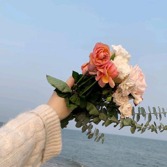 春晓🩷