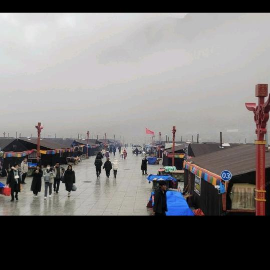 珠峰小弟