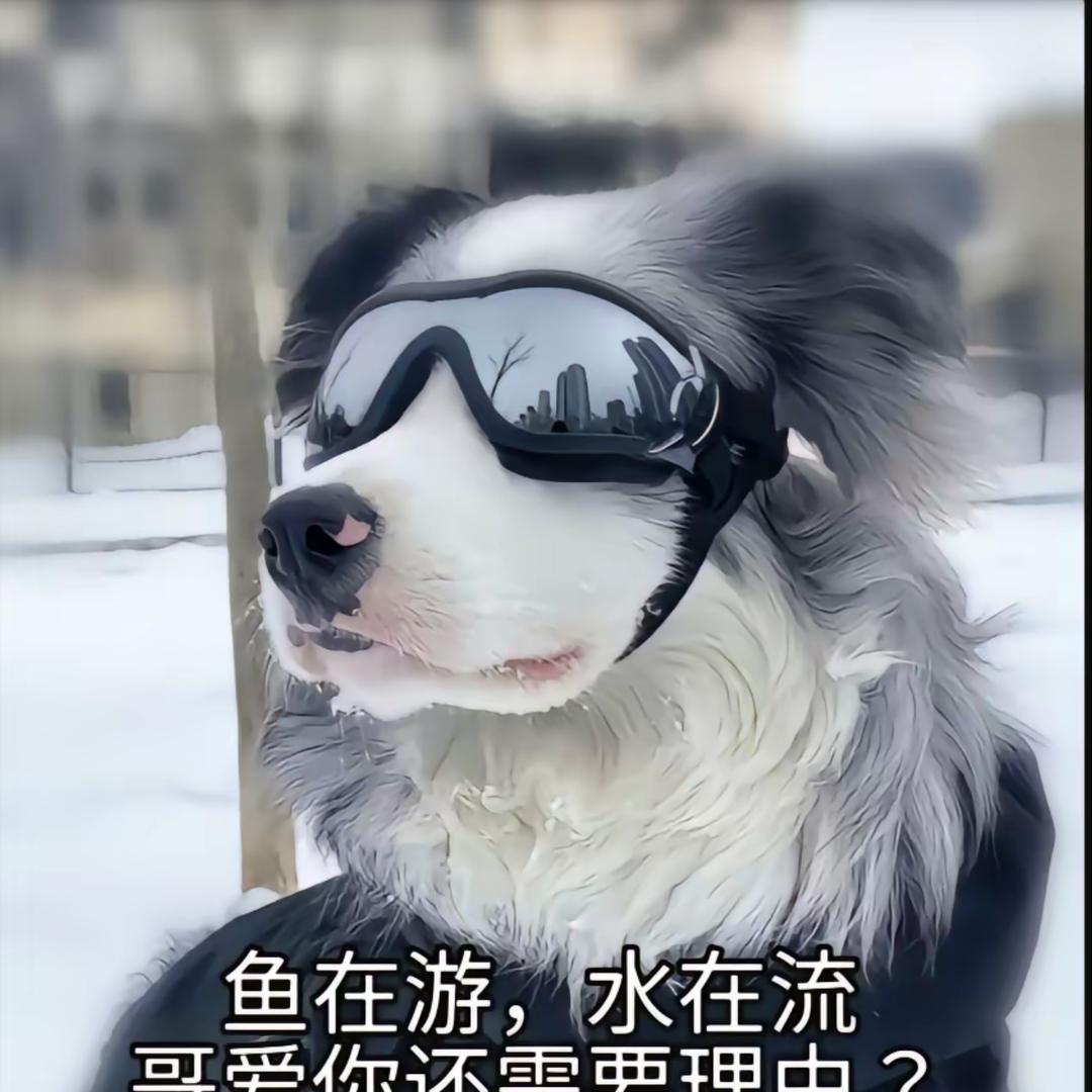 我们的明天.（雪碧曹操）