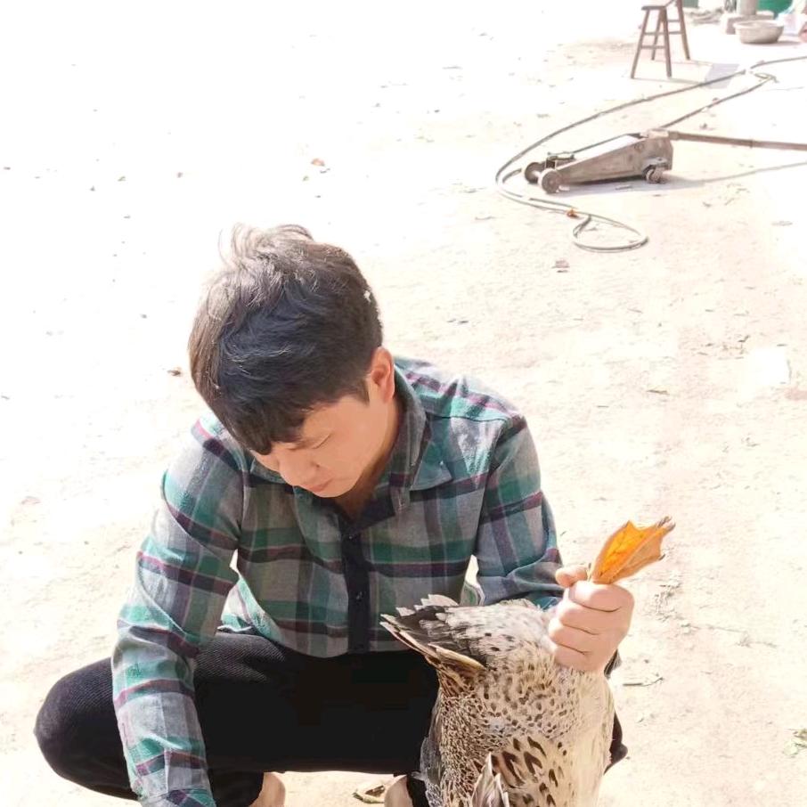 只想简单