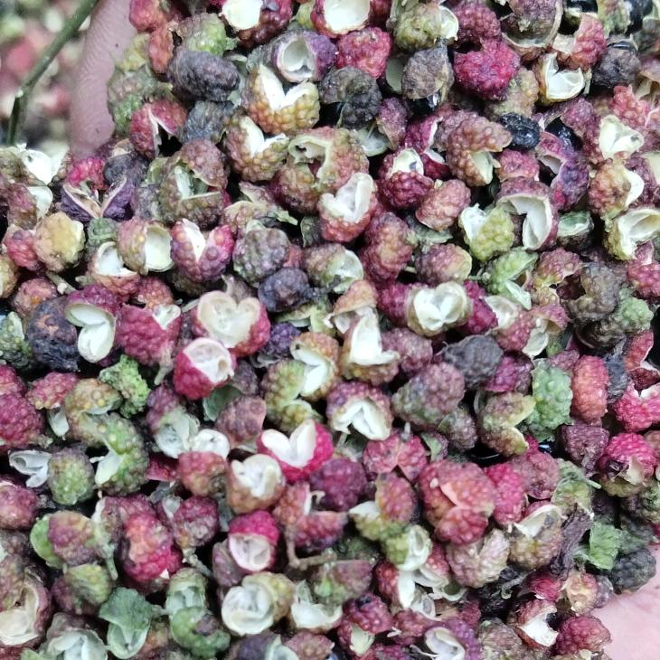 芳芳花椒收购