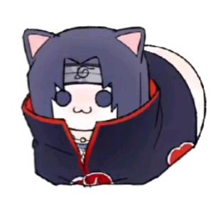 宝之皮